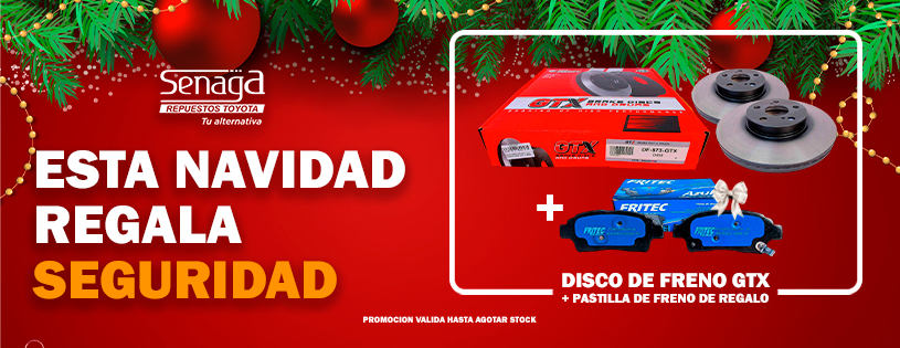 Disco de Freno + Pastillas