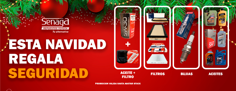 Aceites, Filtros y Bujías